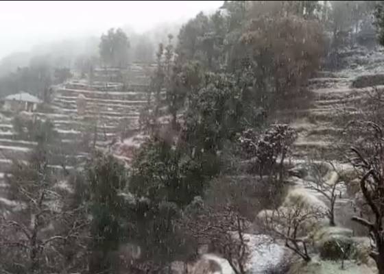 नैनीताल 
