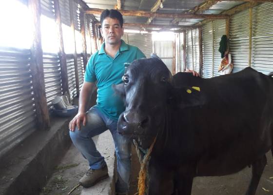 उत्तराखंड