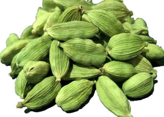 देहरादून
