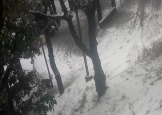 नैनीताल