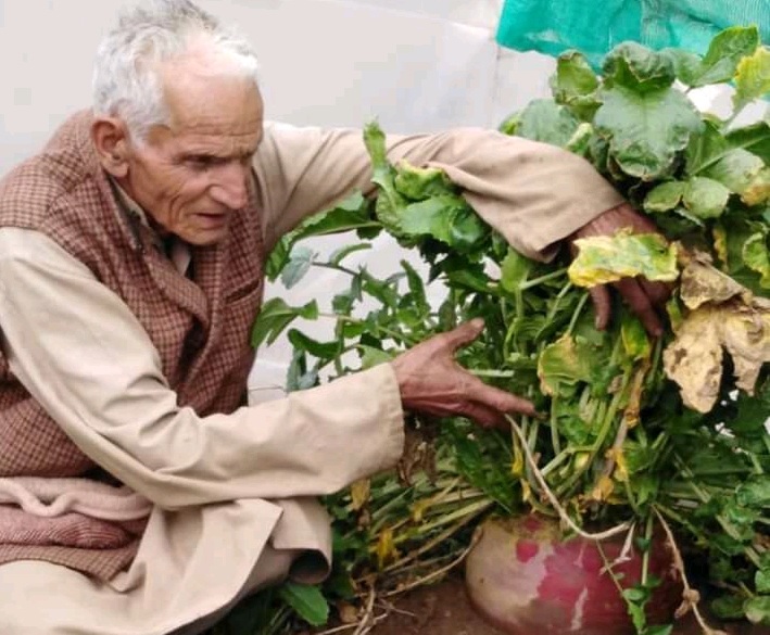 पौडी, काल्जीखाल ब्लॉक