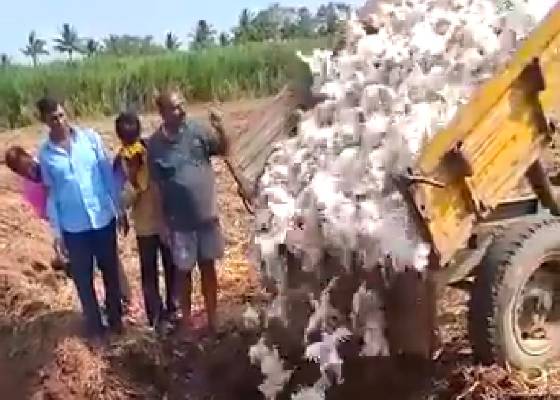 भारत 