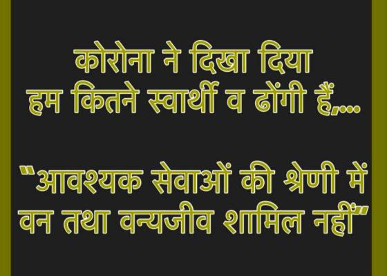 भारत 