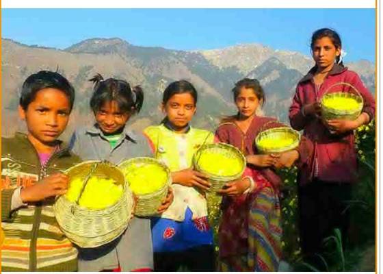 Uttarakhand