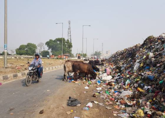 ऊधम सिंह नगर ,रुद्रपुर