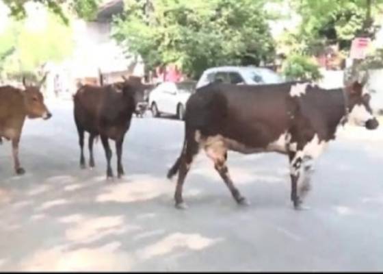देहरादून