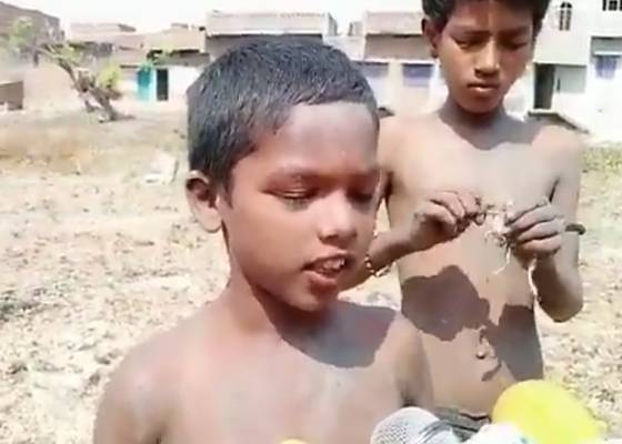 भारत 