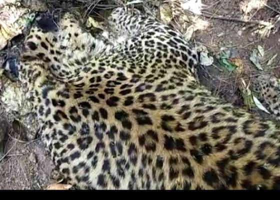 नैनीताल