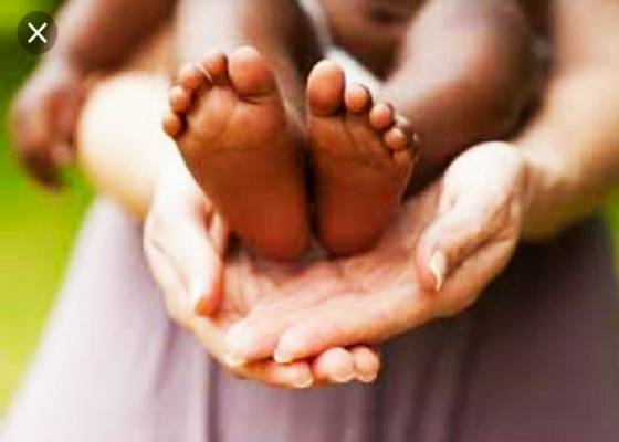 ऊधम नगर सिह ,रुद्रपुर