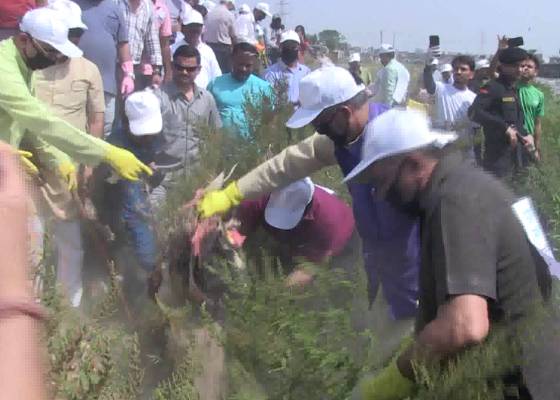 देहरादून