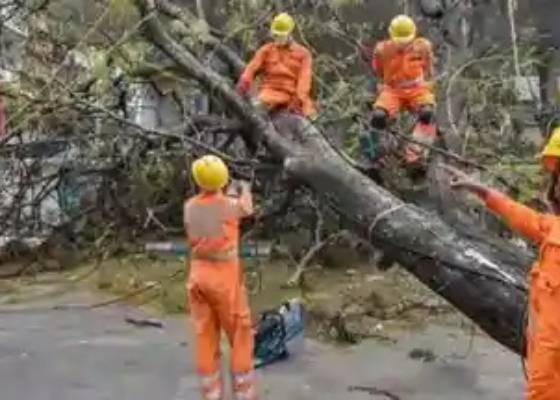 पश्चिम बंगाल