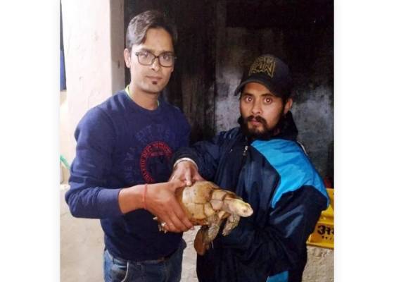 नैनीताल