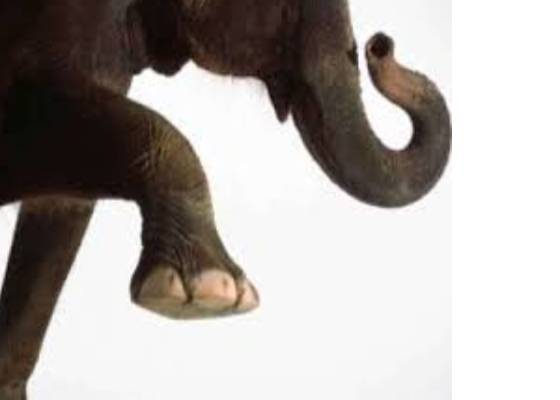 नैनीताल