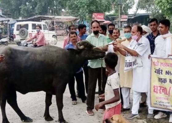 किच्छा