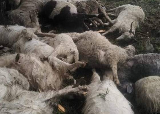 उत्तरकाशी