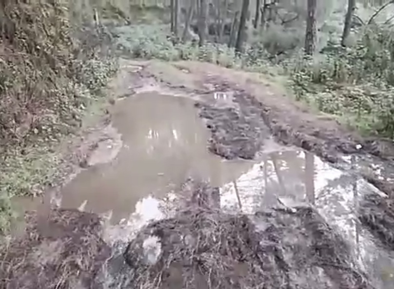 नैनीताल