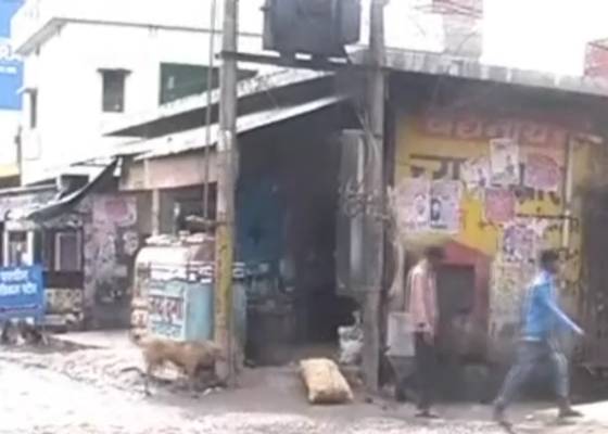 ऊधम सिंह नगर 