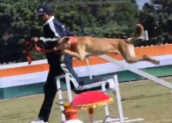 देहरादून