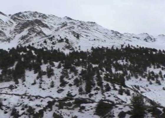 देहरादून