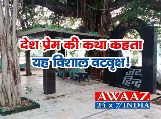 Hundreds of people were hanged by the British government on this tree of Uttarakhand, even today this tree stands with full glory