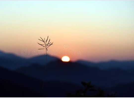 Uttrakhand