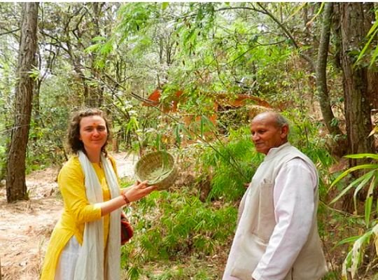 World Environment Day Special: Junglee Jagat Singh Chaudhary of Uttarakhand gets salute, a green forest has been made on barren land, tree friend has been honored with Aryabhatta Award, is the brand 