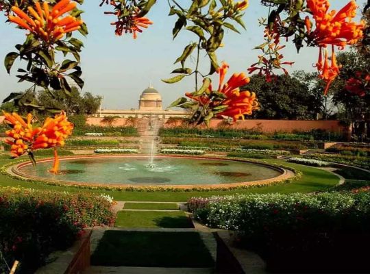 Need to Know: Did You Know! Who made 'Mughal Garden', why was it named after Mughal? Read when wheat was sown in Rashtrapati Bhavan