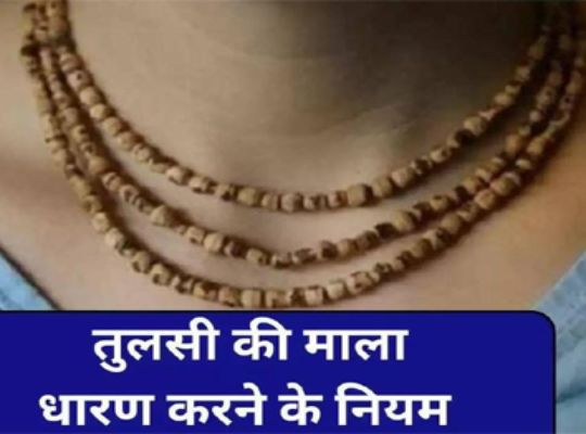Shastra: Do you also want to wear Tulsi Mala? There are strict rules to wear Tulsi Mala, sacrifice of meat, alcohol, onion and garlic is not enough, but these rules also have to be followed.