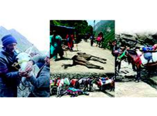 Uttarakhand