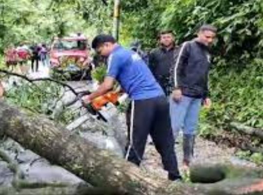 A tree fell on Mussoorie Hathi Pav road, people faced a lot of trouble due to the closure of the road, the road was opened after hours of effort.