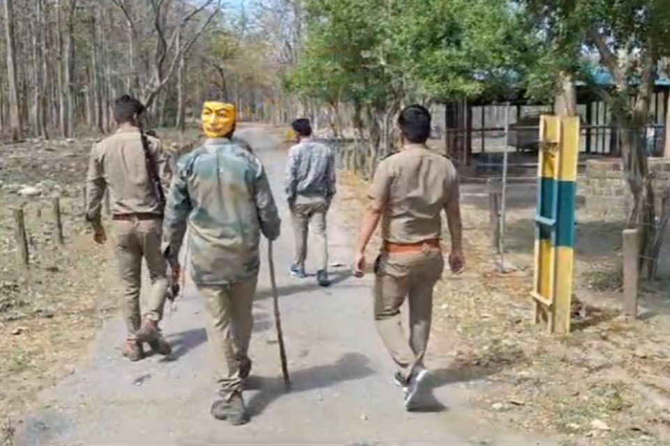 Uttarakhand: Unique way to avoid tiger attack! Forest workers patrolling Corbett Park wearing masks, know what is its specialty