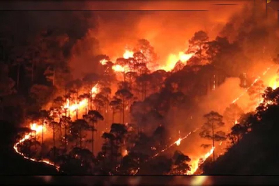 Uttarakhand: Forests are continuously burning! Situation out of control at many places, seven people caught red-handed setting fire