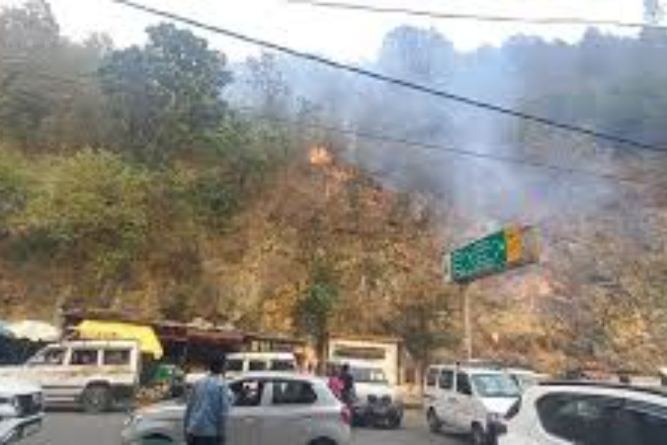 Forests blazed at 40 places in Uttarakhand! Fire reached taxi stand in Chamoli and Central University campus in Srinagar.
