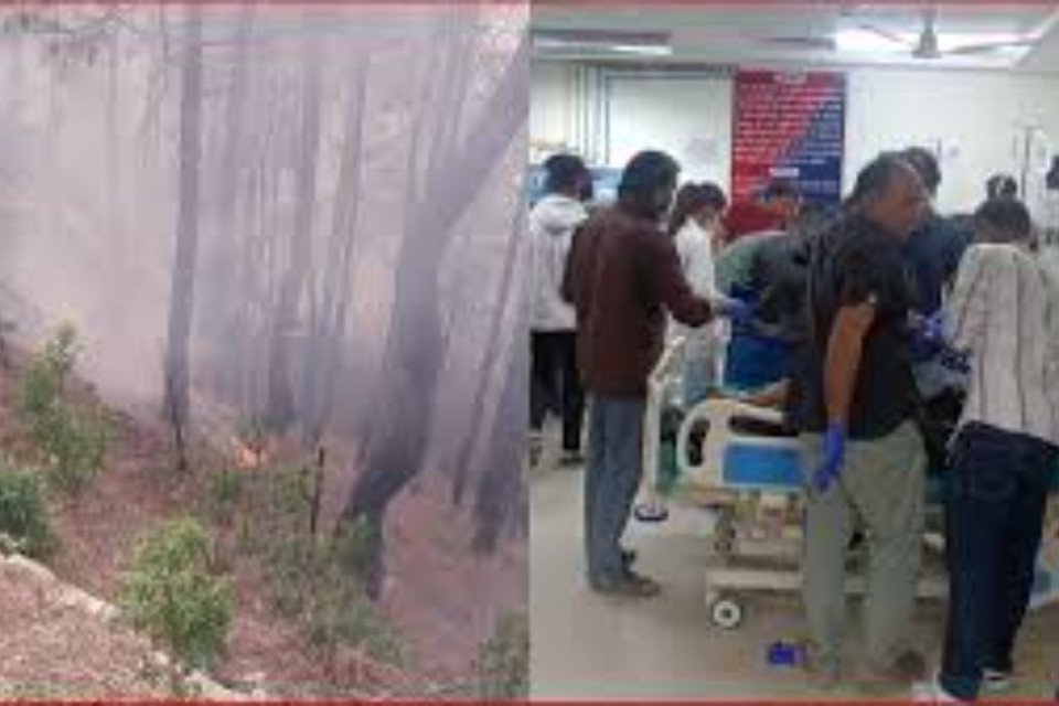 Uttarakhand: 2 Lisa workers burnt to death in forest fire! Two women were seriously burnt