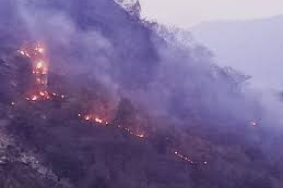 The forests of Uttarakhand are burning: Mountains are covered in smoke everywhere due to fire! Now people are getting sick