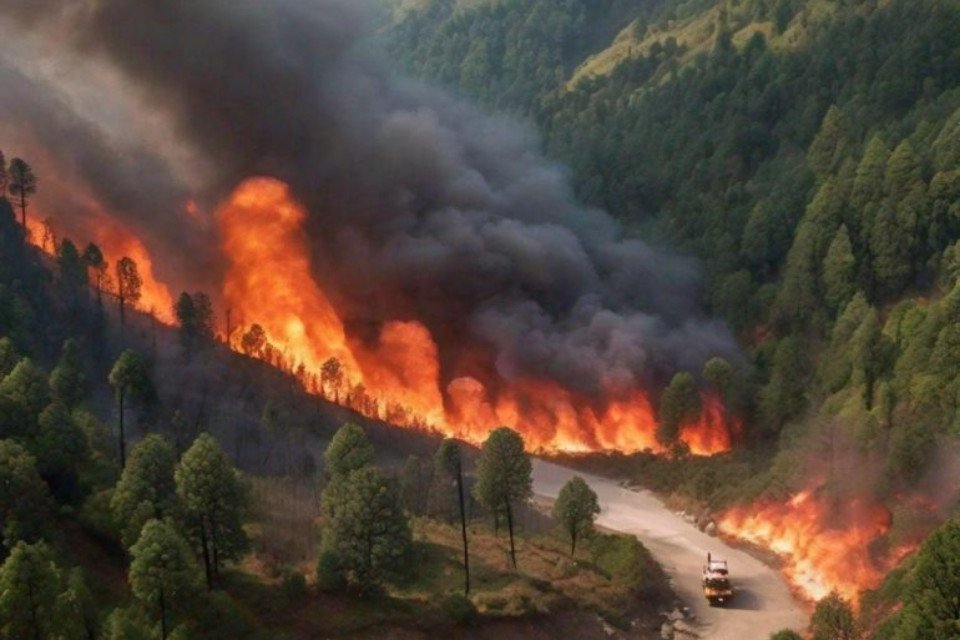Uttarakhand: Forest fire increases tension! Black carbon is having a significant impact on the environment, 17 times larger