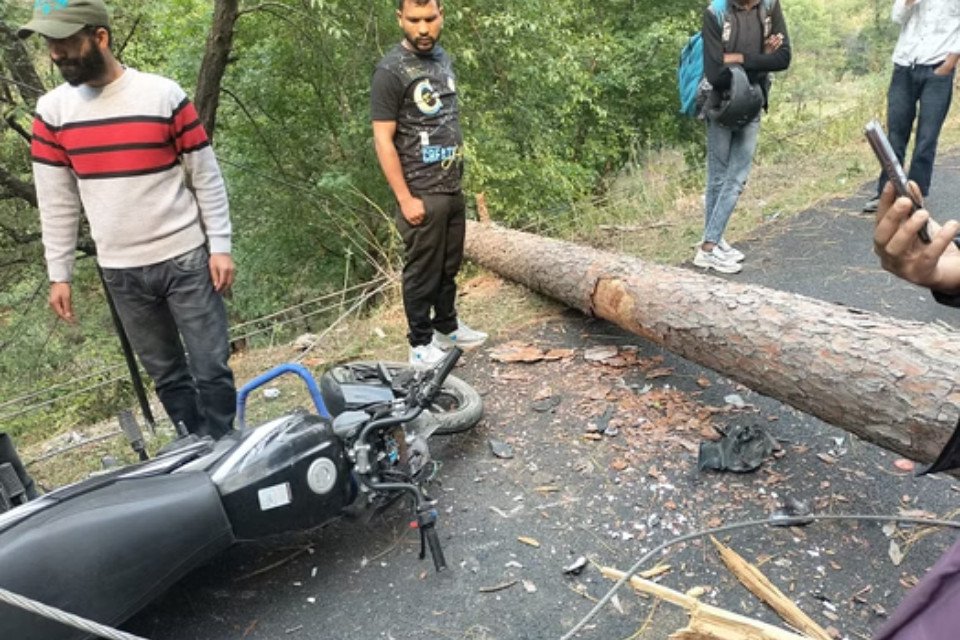 Uttarakhand: Storm wreaks havoc in Uttarkashi! Giant tree suddenly fell, two bike riders died after being hit