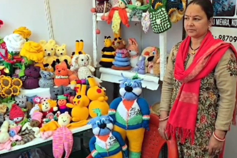 Amazing workmanship! Bhavana of Ramnagar made 'mascot Mauli' of National Games from wool, people are liking it very much