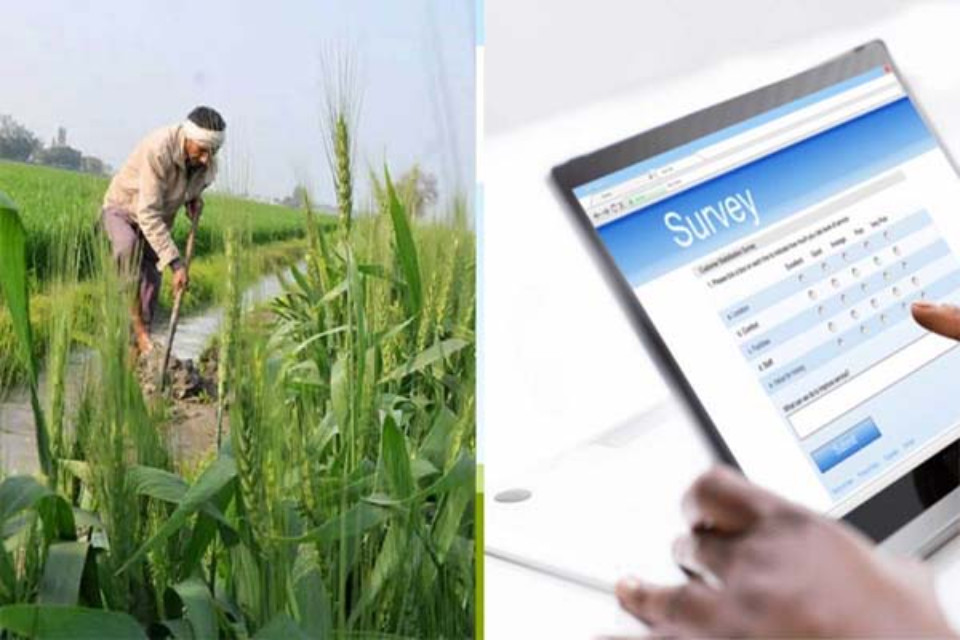 Agristack sale will start in Haryana! Process of digital crop survey and farmer registry will be accelerated