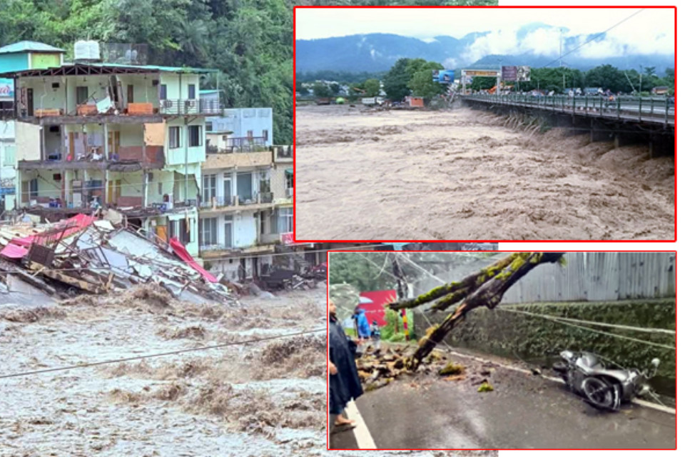 Rain, flood and destruction: Chaos in Dehradun! 13 bodies have been recovered so far, a tree fell on a scooty in Nainital, a narrow escape