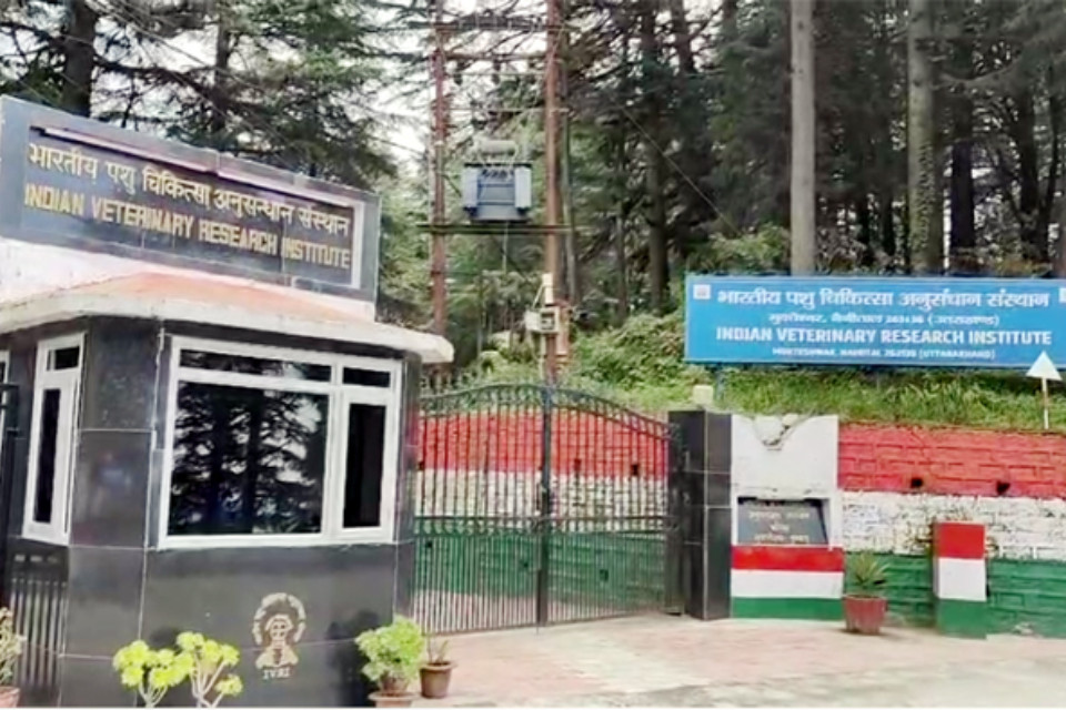 Nainital: An international scientific conference will be held in Mukteshwar from November 6th to 8th. Scientists, researchers, and industry representatives from around the world will gather.