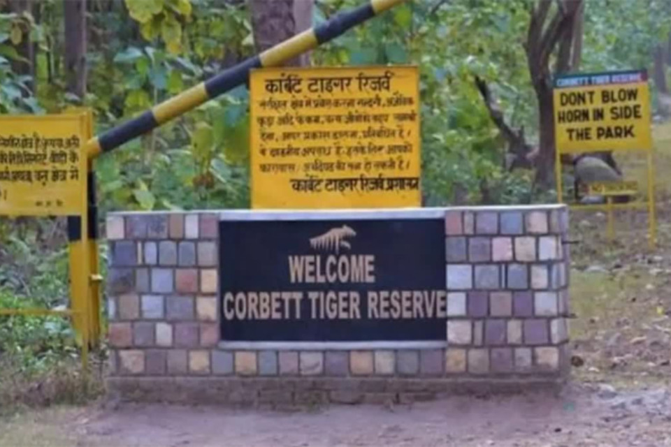 Uttarakhand: Forest department on Diwali alert! Staff holidays cancelled, border areas under special surveillance.