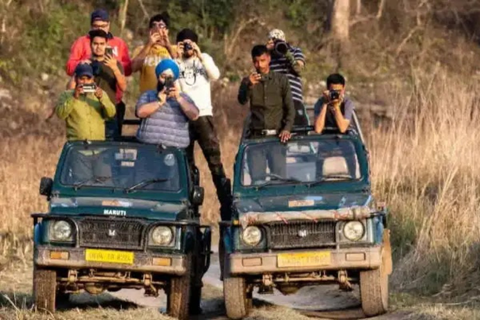 Uttarakhand: Jungle safari to begin on November 15, registrations open for adventure