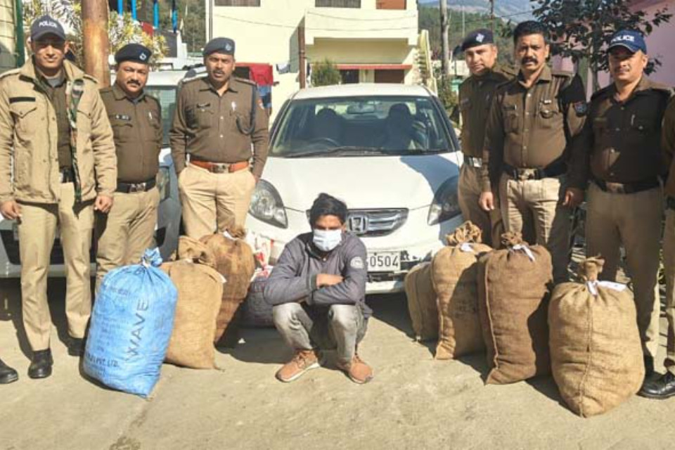 Drug-Free Devbhoomi Mission: Almora Police Succeed! Smuggler Arrested With Marijuana Worth Over 21 Lakh Rupees