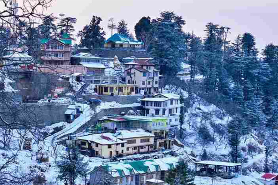 Uttarakhand: Pleasant weather turns to the mountains! Tourists flock to the mountains, and a memorable wedding ceremony takes place amidst the snowfall.