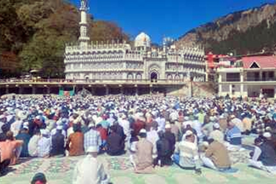 Iamge